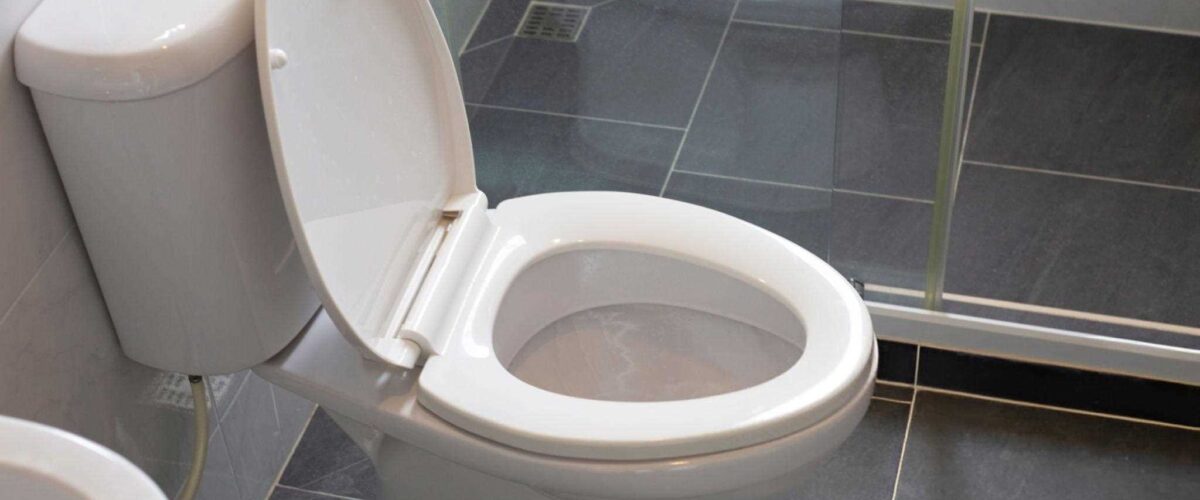 why my toilet won't flush