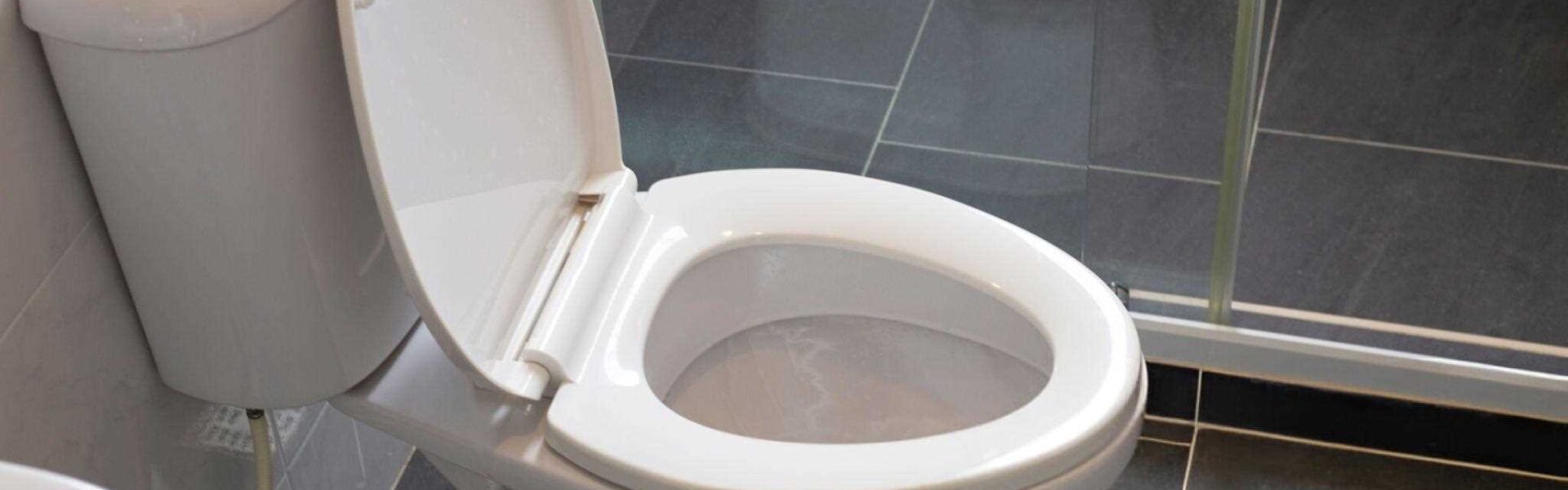 why my toilet won't flush